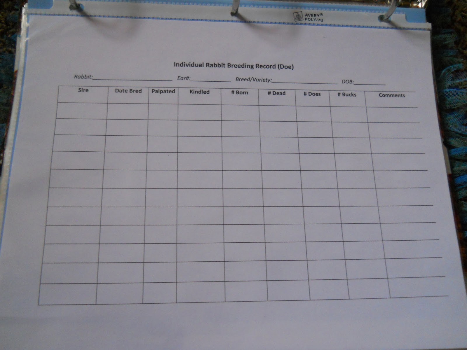 record rabbitry binder bunny paper many ups sales each follow had