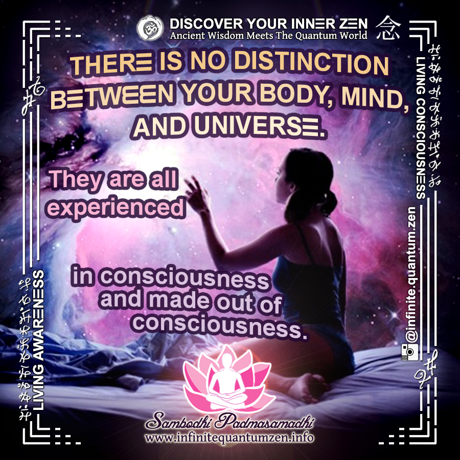There is no distinction between your body, mind, and universe - they are all experienced in consciousness and made out of consciousness - Infinite Quantum Zen, Success Life Quotes