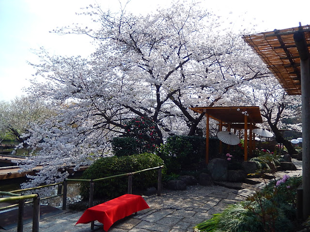 �߉������{�����r�̍�