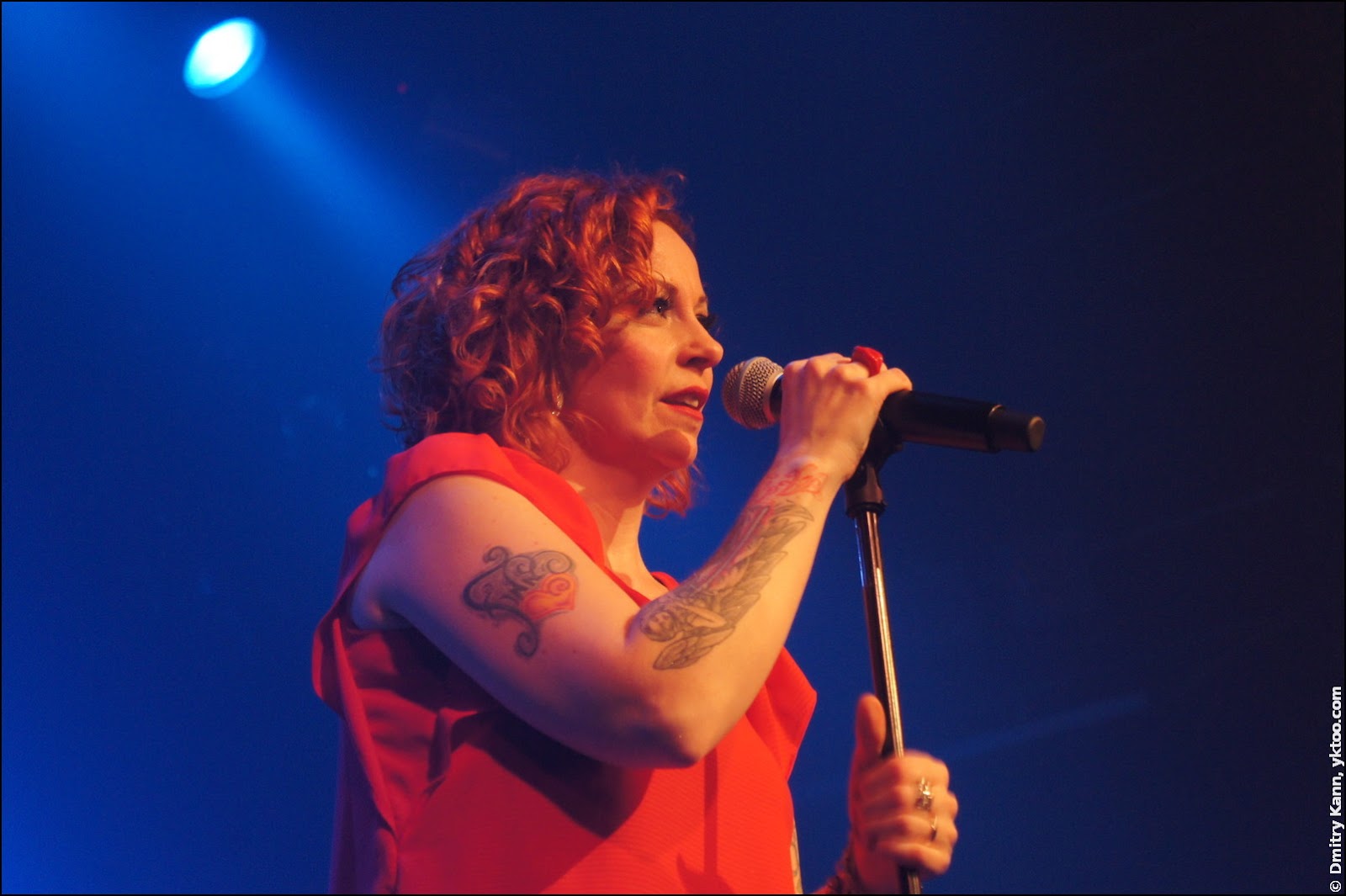 Аннеке ван Гирсберген (Anneke van Giersbergen).