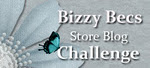 Bizzy Becs Store Challenge - Monthly