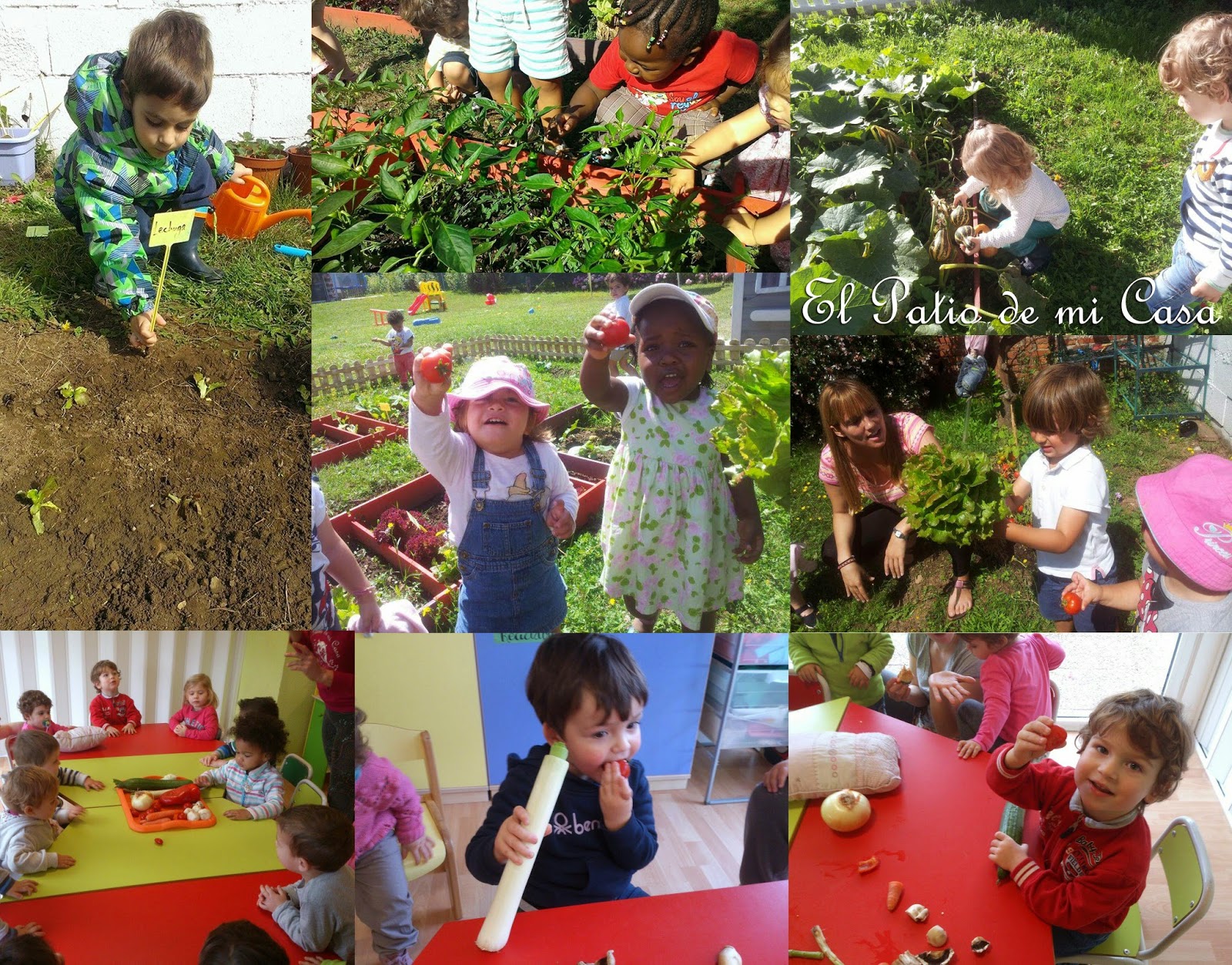 El Patio de mi Casa Escuela Infantil Bienvenida Primavera