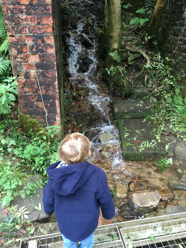 toddler-looking-at-waterfall
