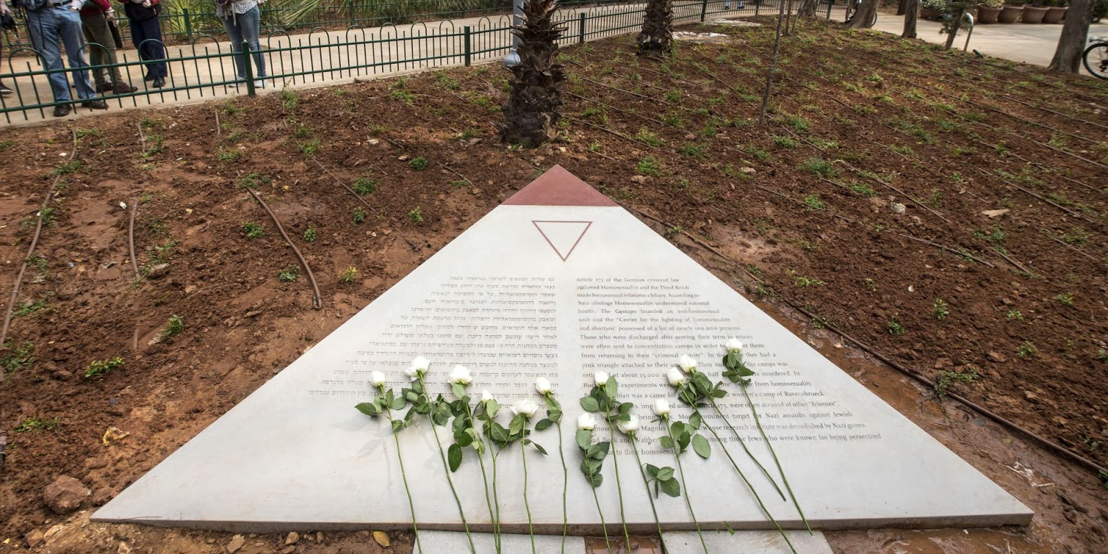 gay having sex tube from David israel gay shooting memorial