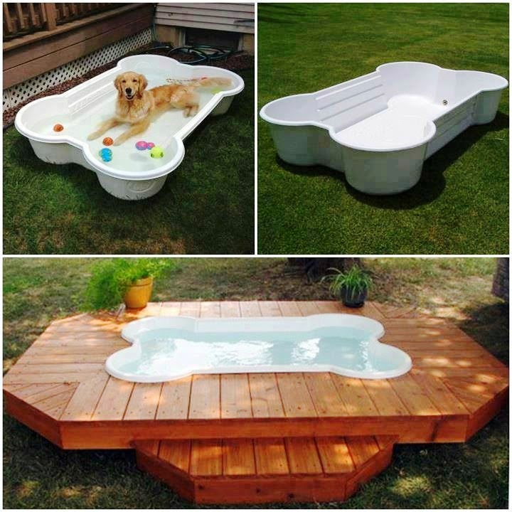 Bone Shaped Dog Pool Creative Ideas