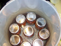carrots pressure canning cooker cookers require inches