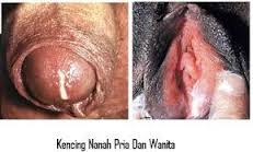 Raja Singa