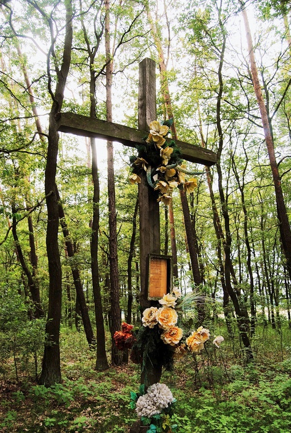 Generał Jan Henryk Dąbrowski 1755 - 1818 : Konfederacja Barska i Francja