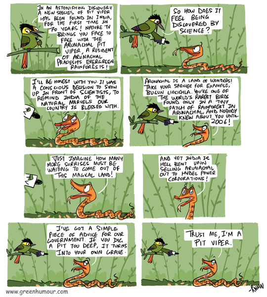 Green Humour The Arunachal Pit Viper