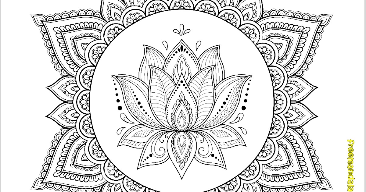 ZEICHNUNG ZU TÄTOWIERUNG: Lotus und Mandala- Lotus & Mandala