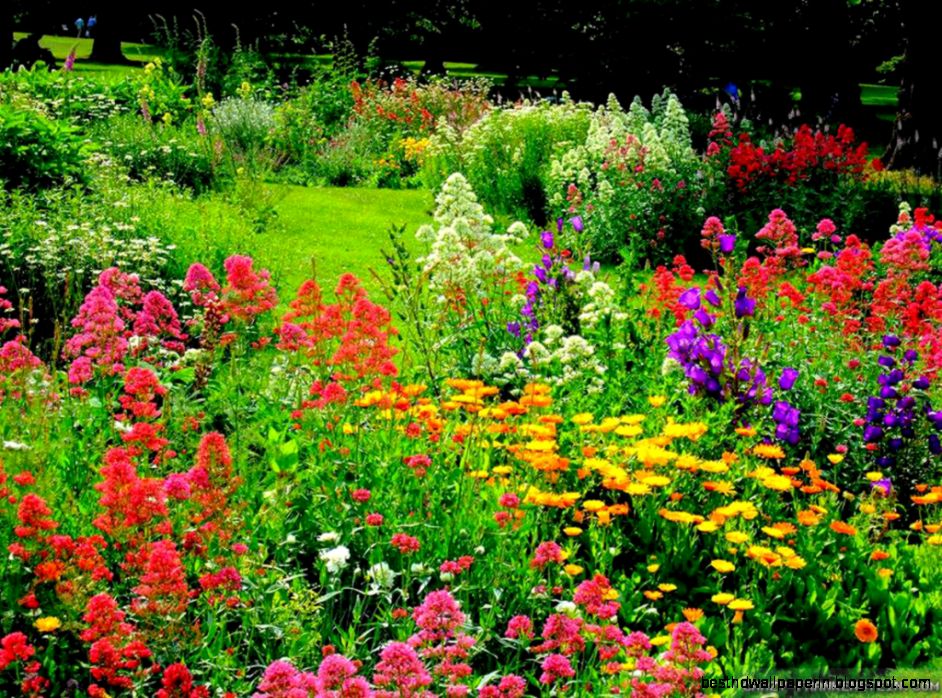 Flower Garden Wallpapers  Sky HD Wallpaper