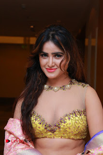 Actress Model Sony Charista Latest Pos in Lehenga Choli  0001