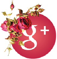https://plus.google.com/u/0/+TeresaSilvaIsy/posts