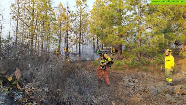 Controlado el incendio forestal de Tijarafe