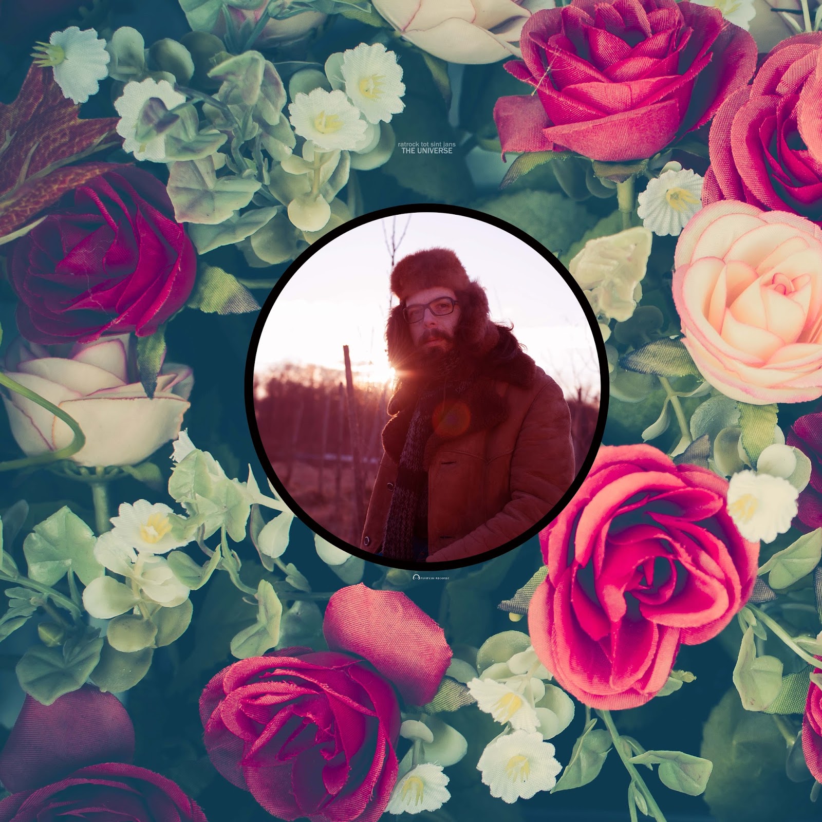 Haubentaucher Archiv 2017