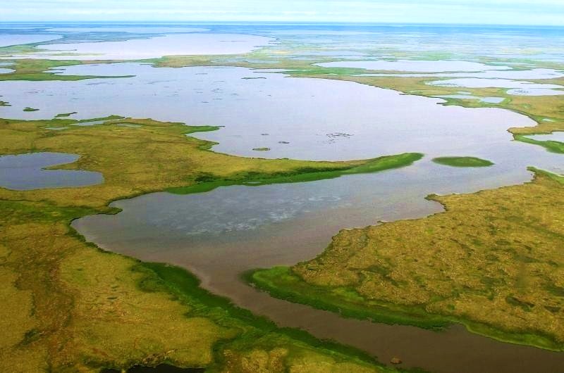 Ultima Thule Nightmute, Alaska isolation and poverty on the wet tundra.