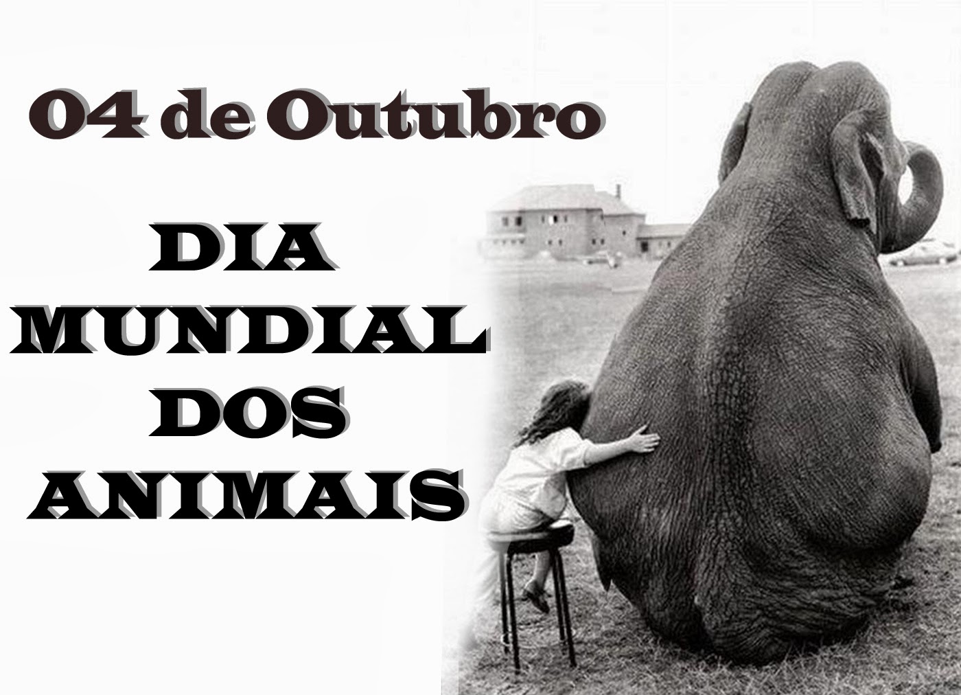 RM no Foco 04 DE OUTUBRO É O DIA MUNDIAL DOS ANIMAIS, DE SÃO FRANCISCO E DO AGENTE DE SAÚDE RM no Foco 04 DE OUTUBRO É O DIA MUNDIAL DOS ANIMAIS, DE SÃO FRANCISCO E DO AGENTE DE SAÚDE
