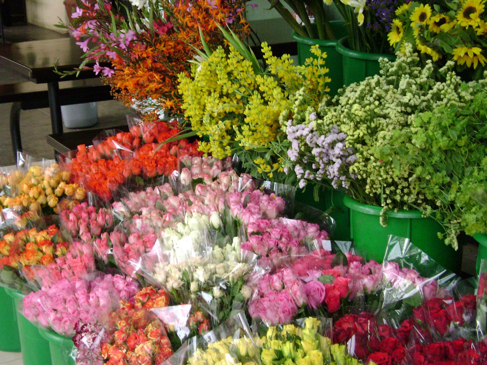 A Kitty In Kenya Pictures Home & Garden