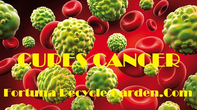 Biji Anggur Sebagai Anti-Cancer Drugs,Informasi Yang Selama Ini Dirahasiakan Biji Anggur Sebagai Anti-Cancer Drugs,Informasi Yang Selama Ini Dirahasiakan