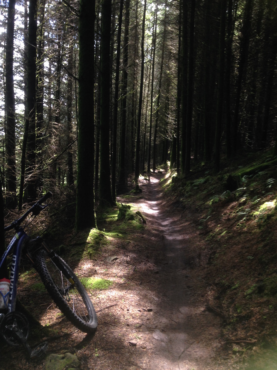 FitBits | Mountain biking in Wales | Afan Forest Park Y Wal FitBits | Mountain biking in Wales | Afan Forest Park Y Wal