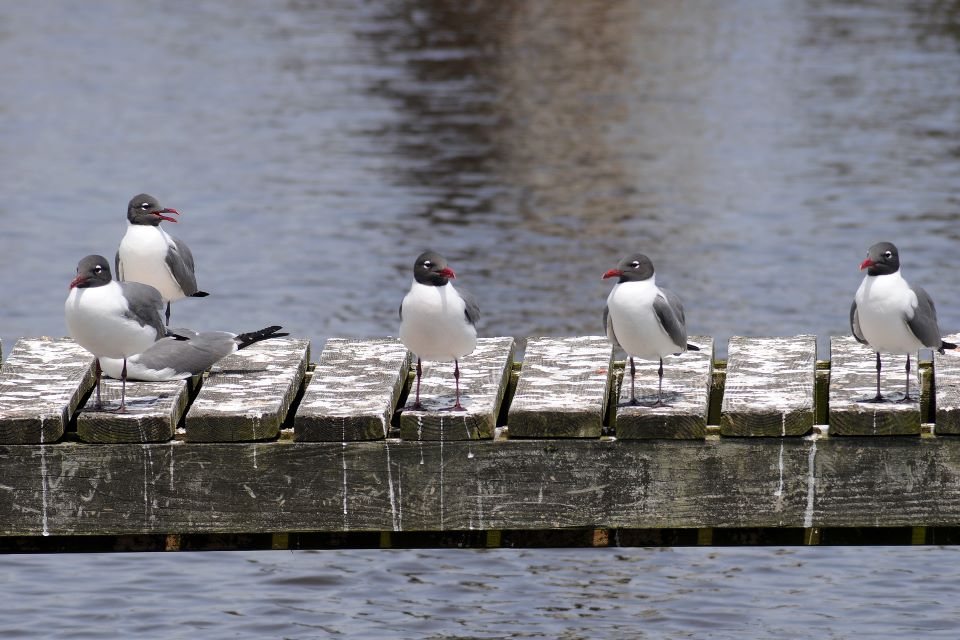 Katy Warner Photography: North Carolina&rsquo;s Outer Banks