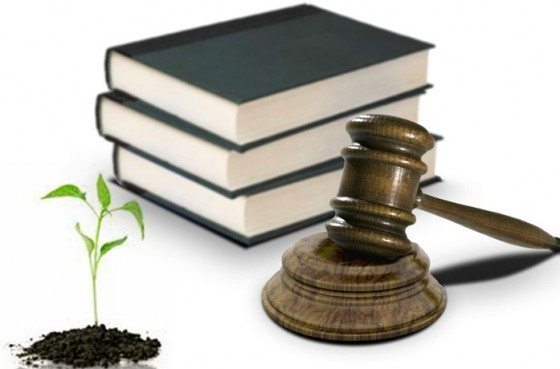 Legislación Ambiental; Qué es, objetivos, características, importancia y tratados
