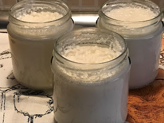 Yogur De Coco (thermomix)
