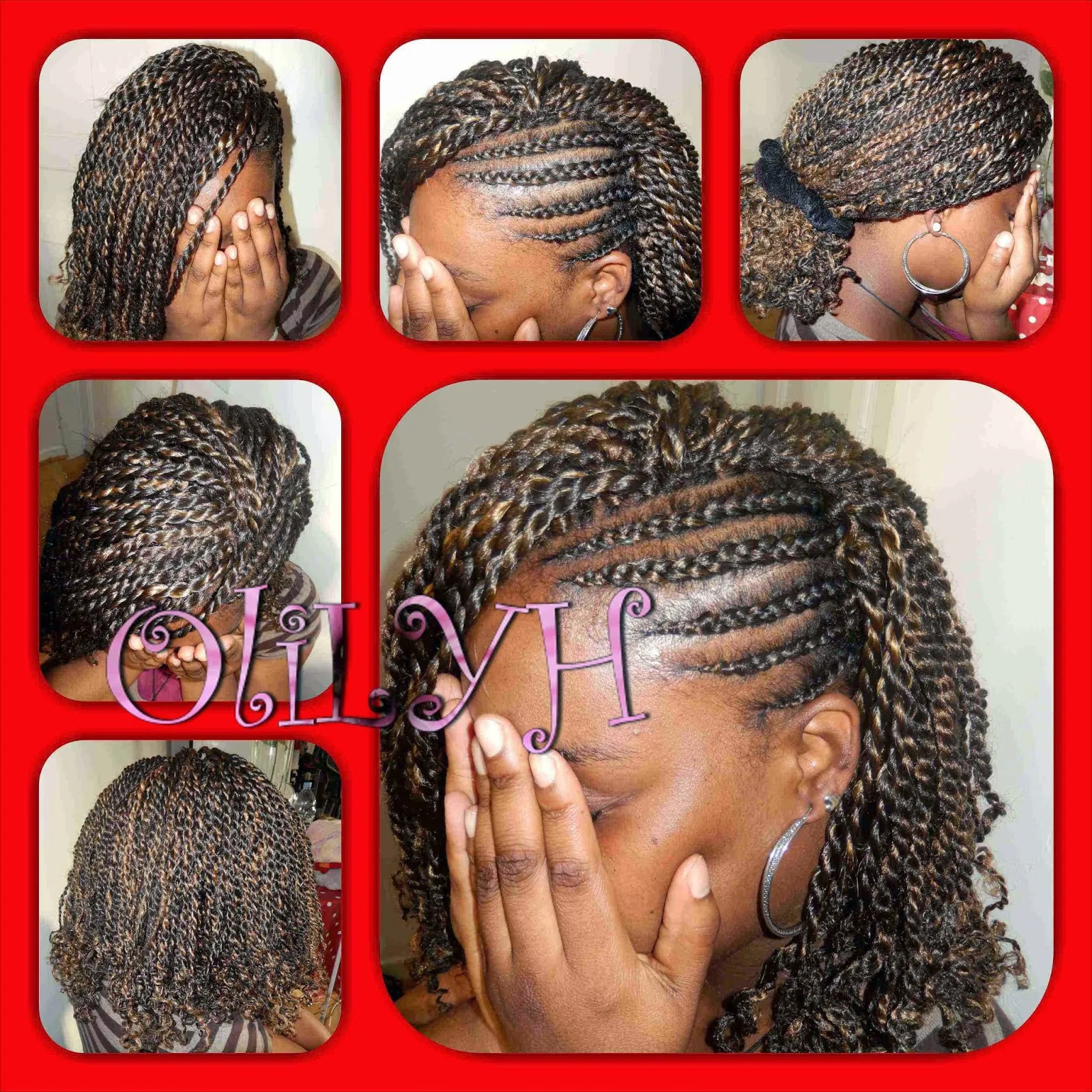 Gorgeous Crochet Braids Twist Capture Digital Art