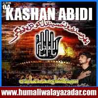http://ishqehaider.blogspot.com/2013/11/kashan-abidi-nohay-2014.html
