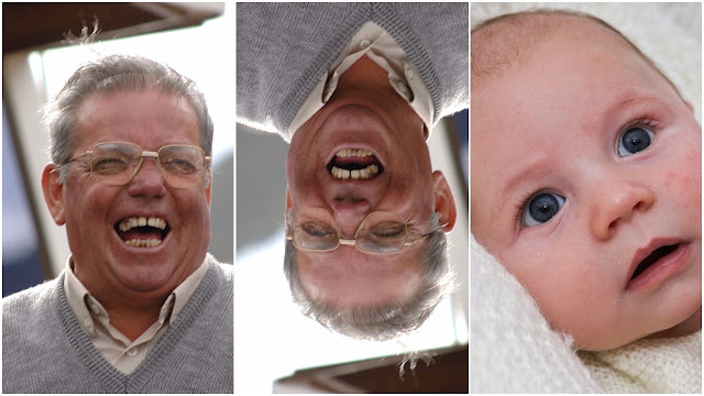 10 Interesting Facts About Human Eyes Upside-Down View Eye in Hindi