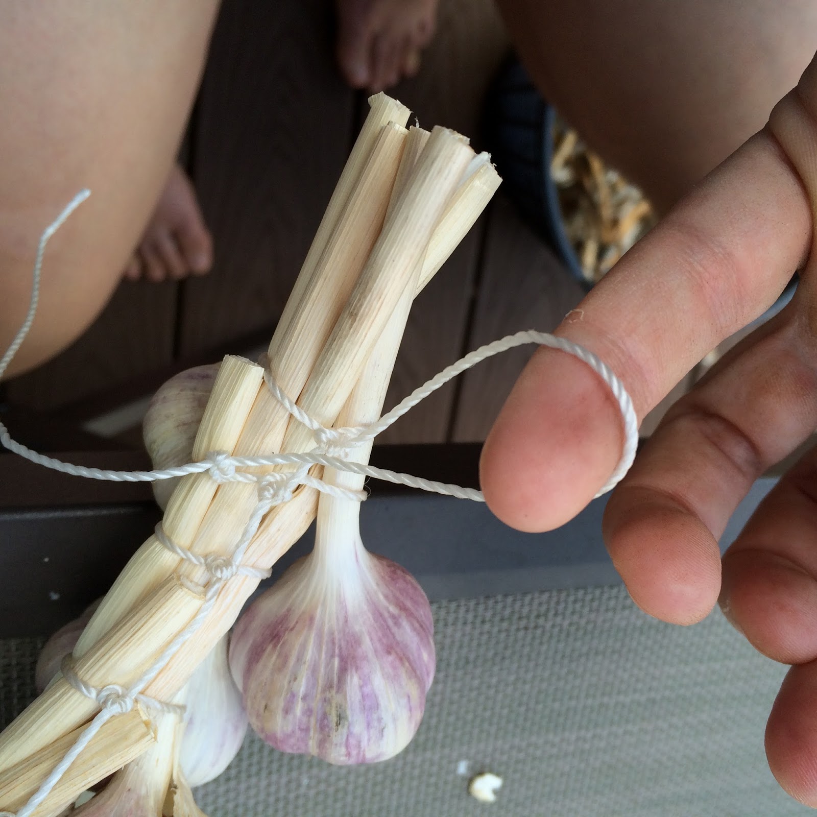 MI Lake Home Garden How to Tie HardNeck Garlic for Decorative Hanging