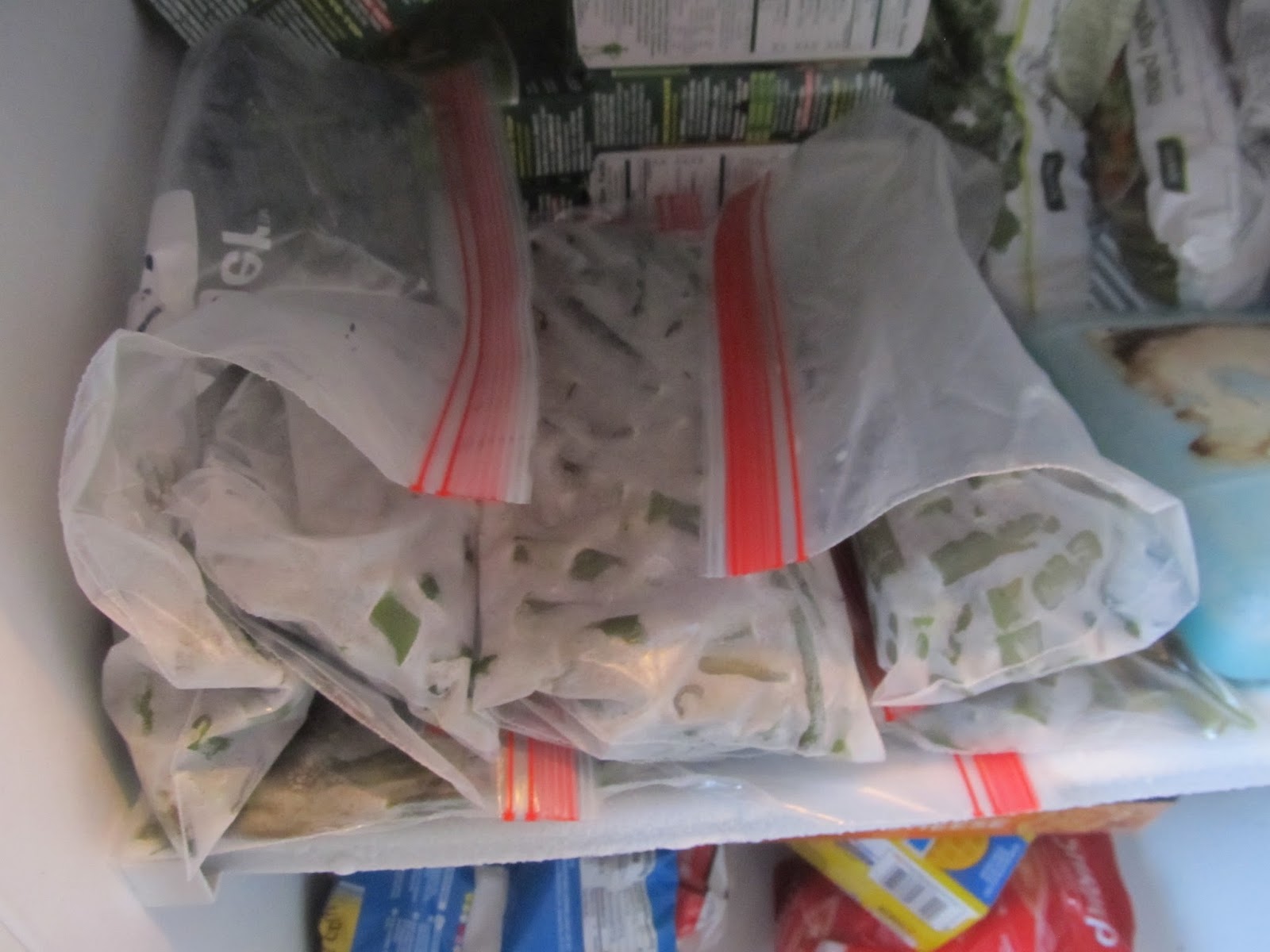 Eaton Rapids Joe Freezing Green Beans in a few, simple steps