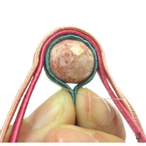 Rodeamos completamente la faceta con el soutache