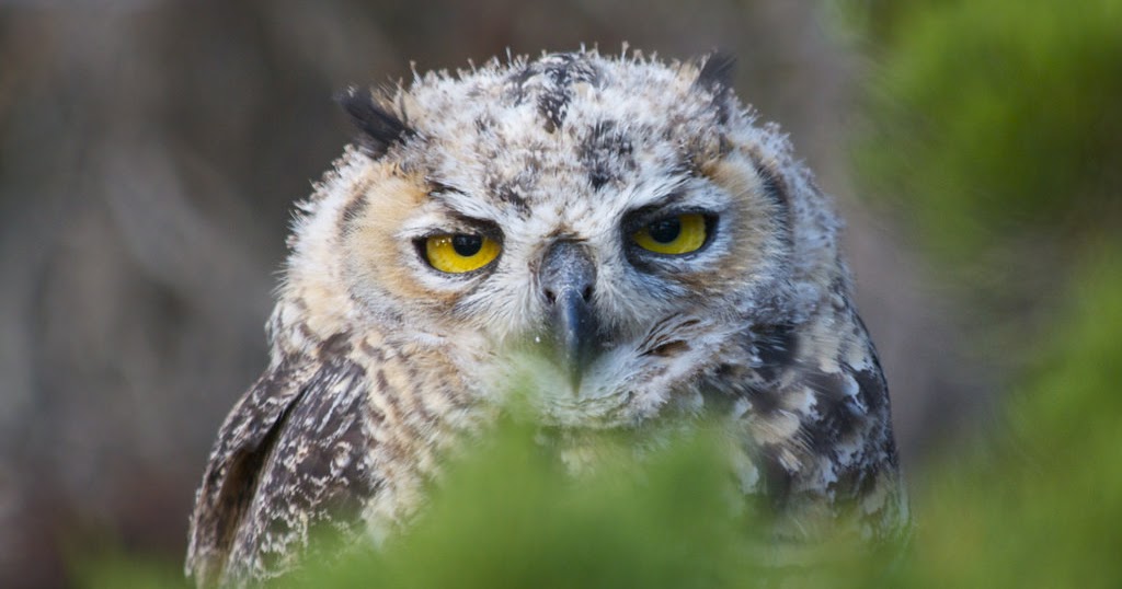 "Bat an eye" nghĩa là gì?