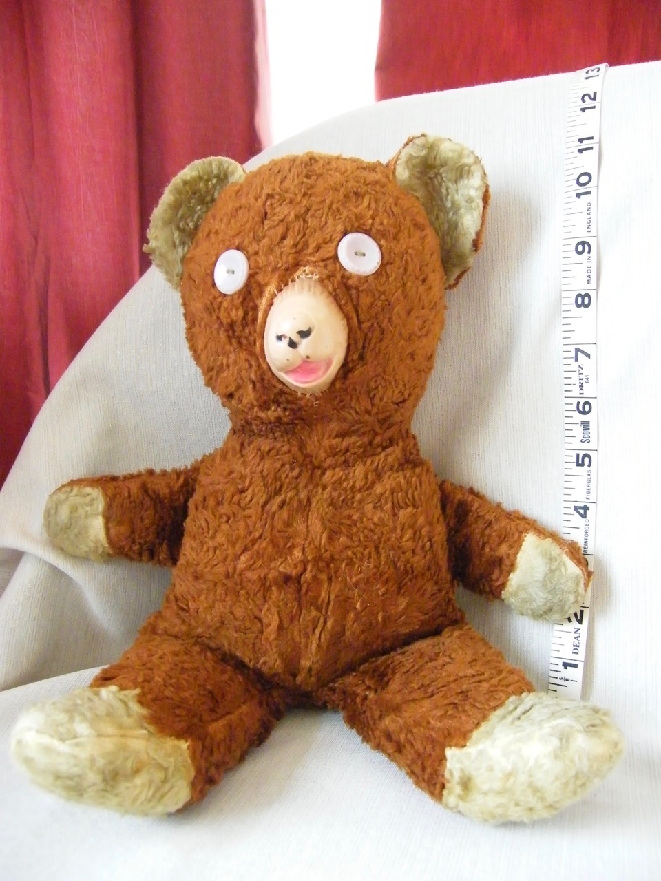 button eyed teddy bear