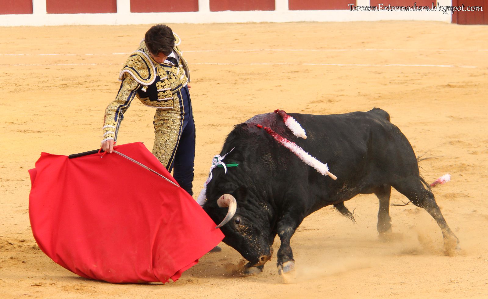 Vídeo en 4K gran angular de la Corrida de Toros de Plasencia Toros en Extremadura Vídeo en 4K gran angular de la Corrida de Toros de Plasencia Toros en Extremadura
