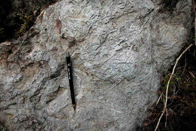 Geologists Find Out How Over 2.6 Ga Years Old Rocks Were Formed at Limpopo Complex