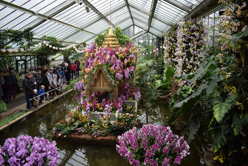 Festival de Orquídeas en Kew Gardens un paraíso tropical inspirado en