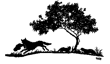 Mythology and Folklore UN-Textbook: Jataka Tales: The Otters and the Wolf