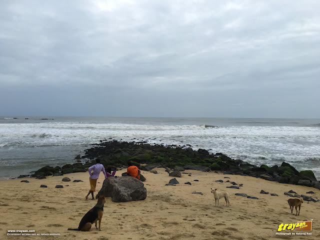 Tannirbavi beach during monsoon in Mangalore, Karnataka, India