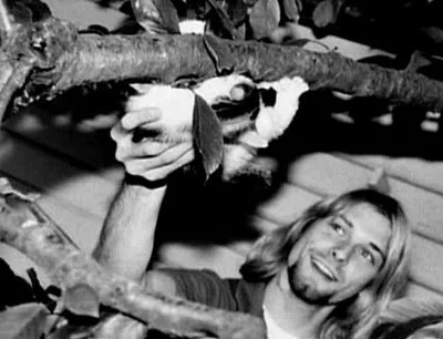 Kurt Cobain acariciando un gato en un árbol