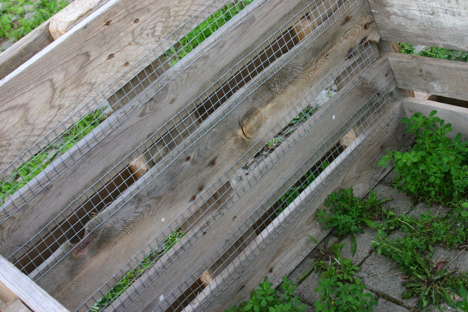 Ein Haus für Mensch, Hund, Katze und Maus Mai 2014