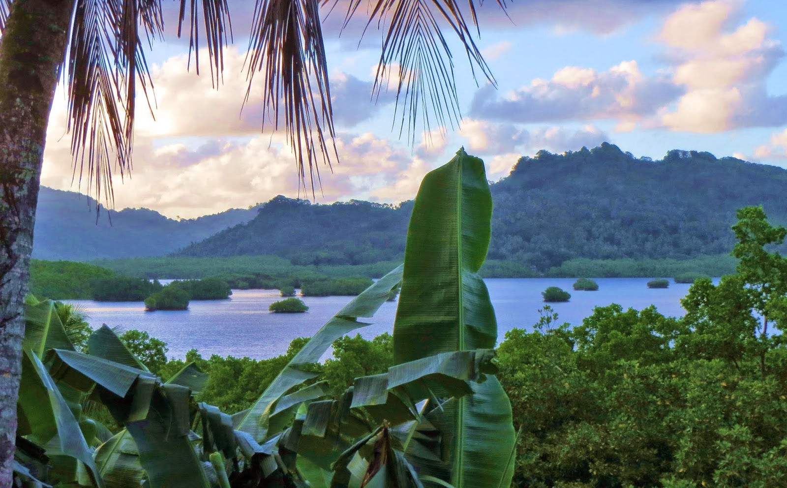 Bill's Excellent Adventures Micronesia (Pohnpei, FSM)