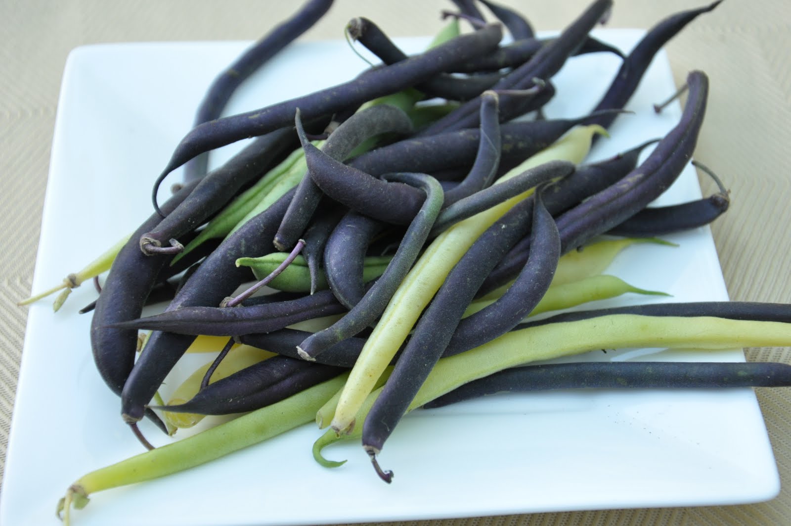 If Music be the Food of Love, Play On Creamy Veal Scallopini Marsala