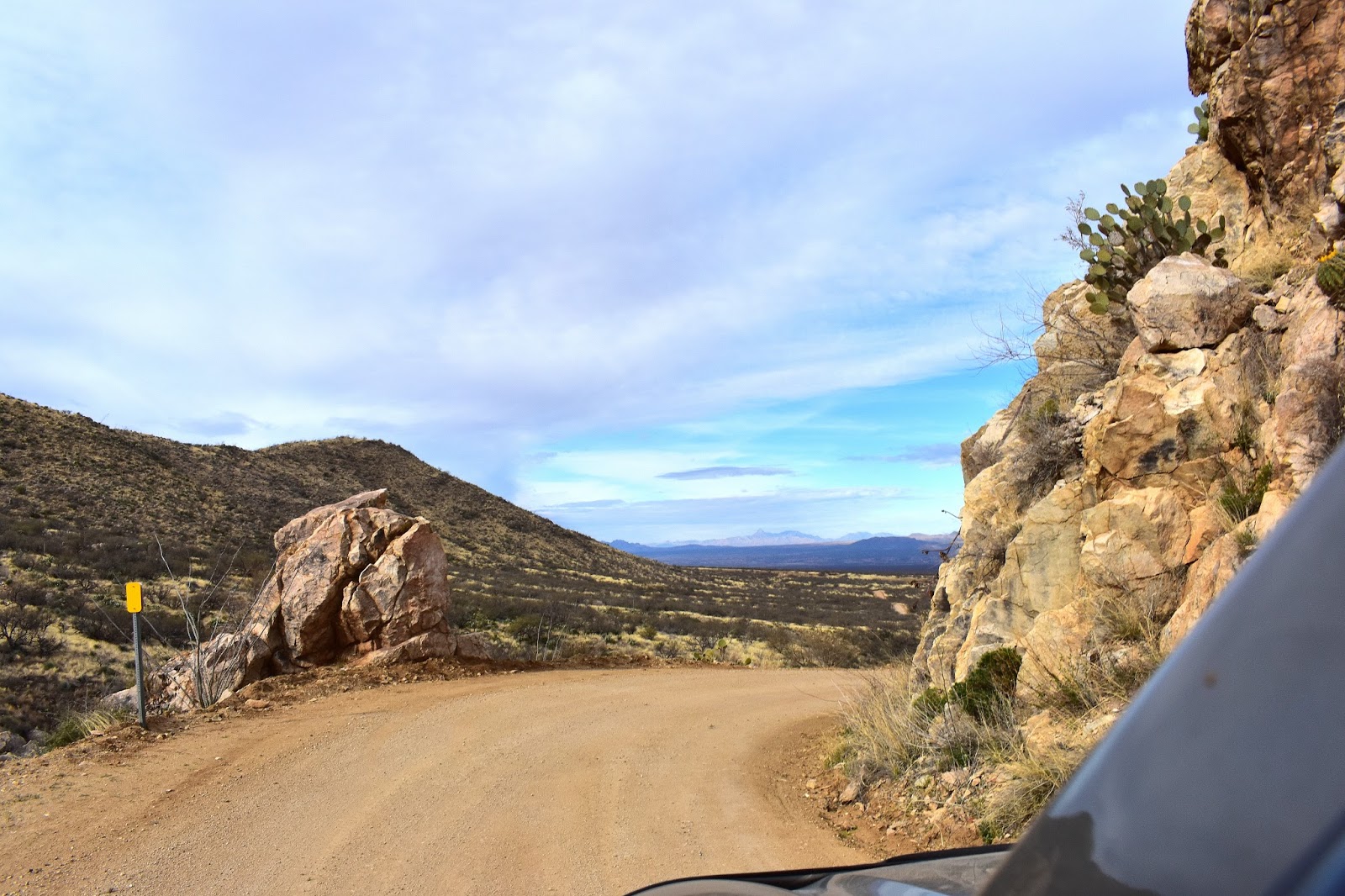 TRAVEL WITH THE BAYFIELD BUNCH)) MADERA CANYON, TUBAC, AND BY GOLLY