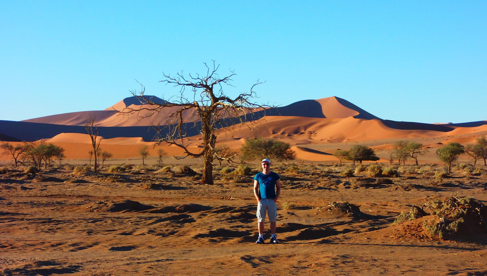 Самая сухая пустыня в африке. Рельеф Намибии. Фото рельефа Намибии. Место где пустыня Намиб встречается с океаном фото.