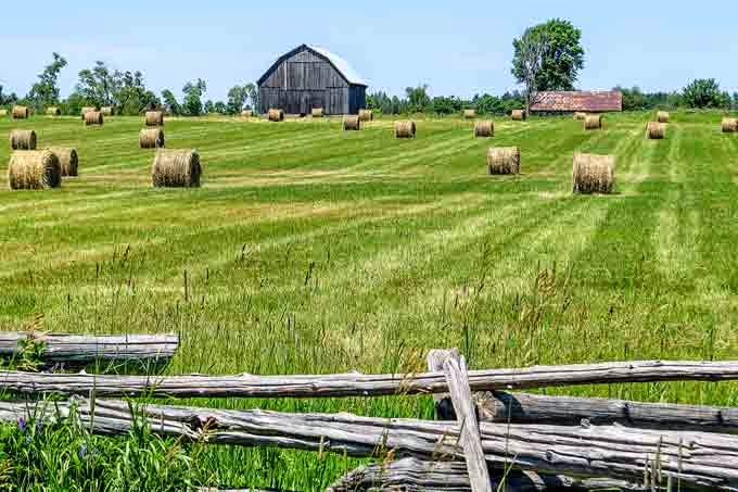 East Gwillimbury CameraGirl: Haying Season