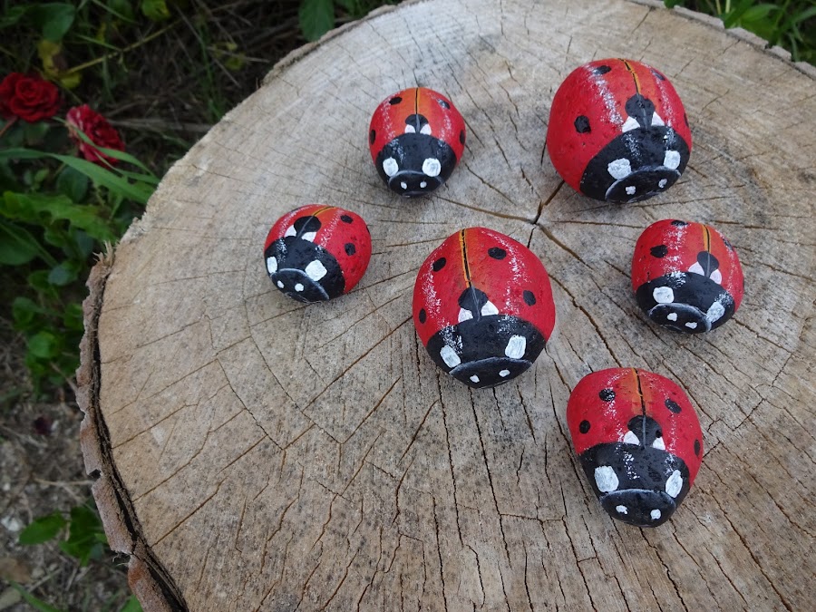 como pintar una mariquita sobre una piedra paso a paso