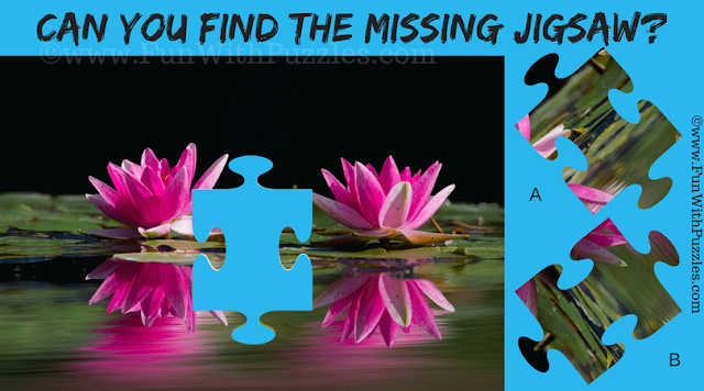 In this Jigsaw Puzzle you have to find missing Jigsaw piece of the Aquatic Plants Puzzle Picture