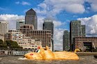 The Hippo on the Thames